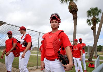 St. Louis Cardinals spring training, Sunday