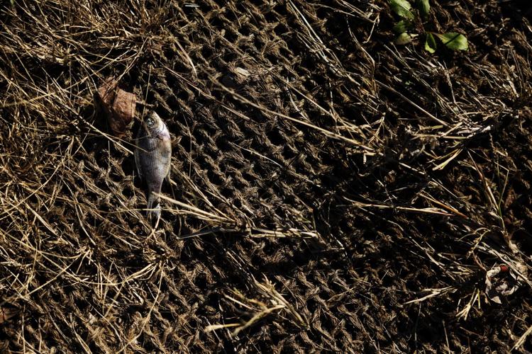 Flood mitigation along Deer Creek